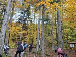 56006312412824026870210104712633504954740258n